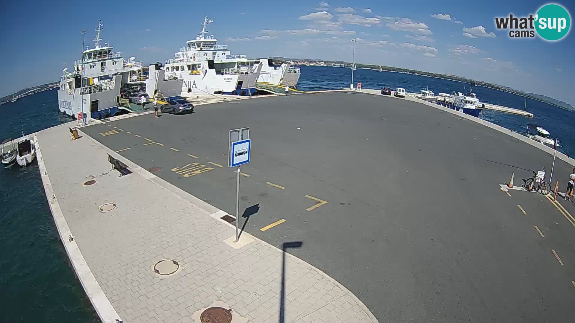 Tkon camera en vivo – Transportar – Dalmacia – Croacia