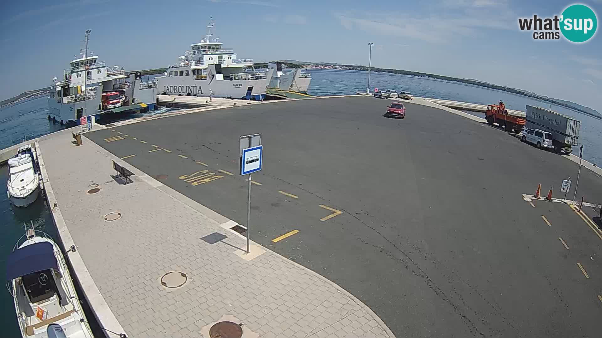 Tkon v živo – trajekt – Dalmacija – Hrvaška
