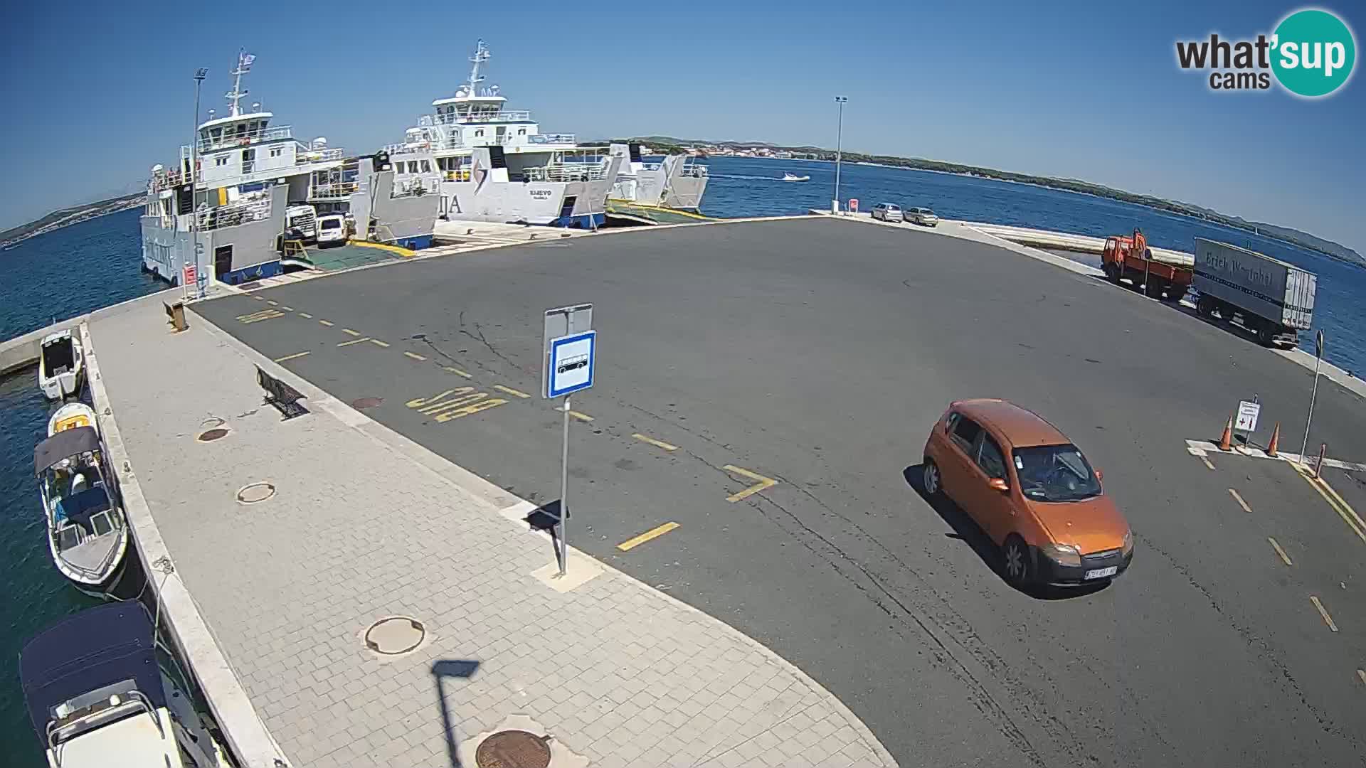 Tkon v živo – trajekt – Dalmacija – Hrvaška