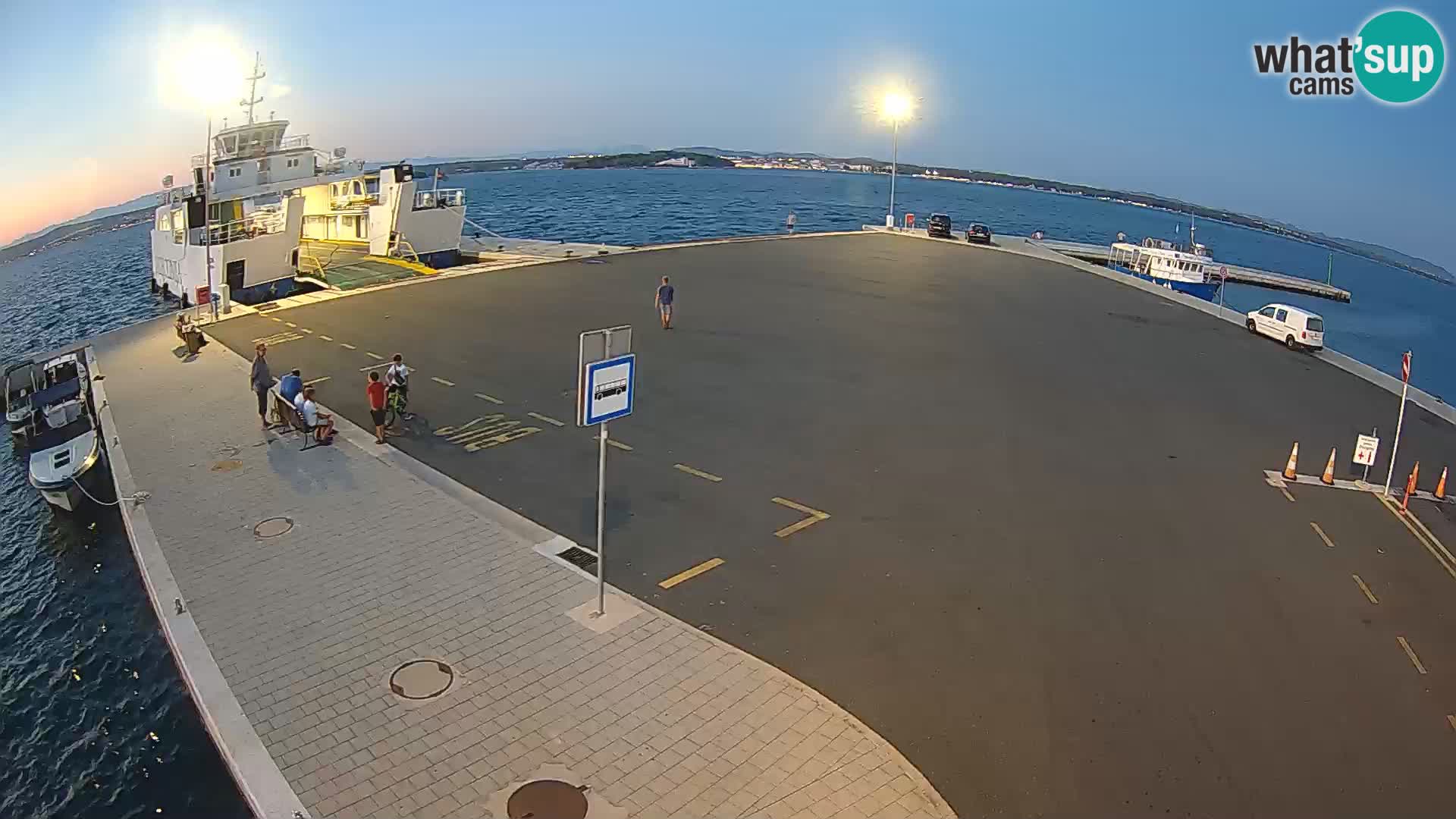 Tkon v živo – trajekt – Dalmacija – Hrvaška