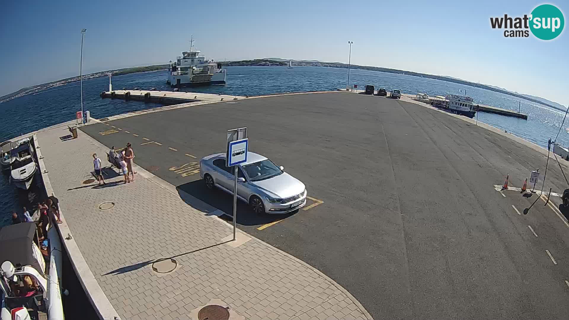 Tkon v živo – trajekt – Dalmacija – Hrvaška