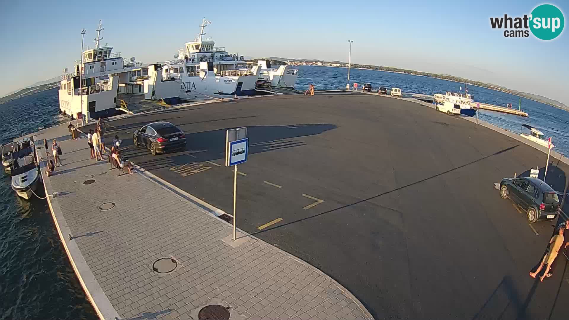 Tkon v živo – trajekt – Dalmacija – Hrvaška