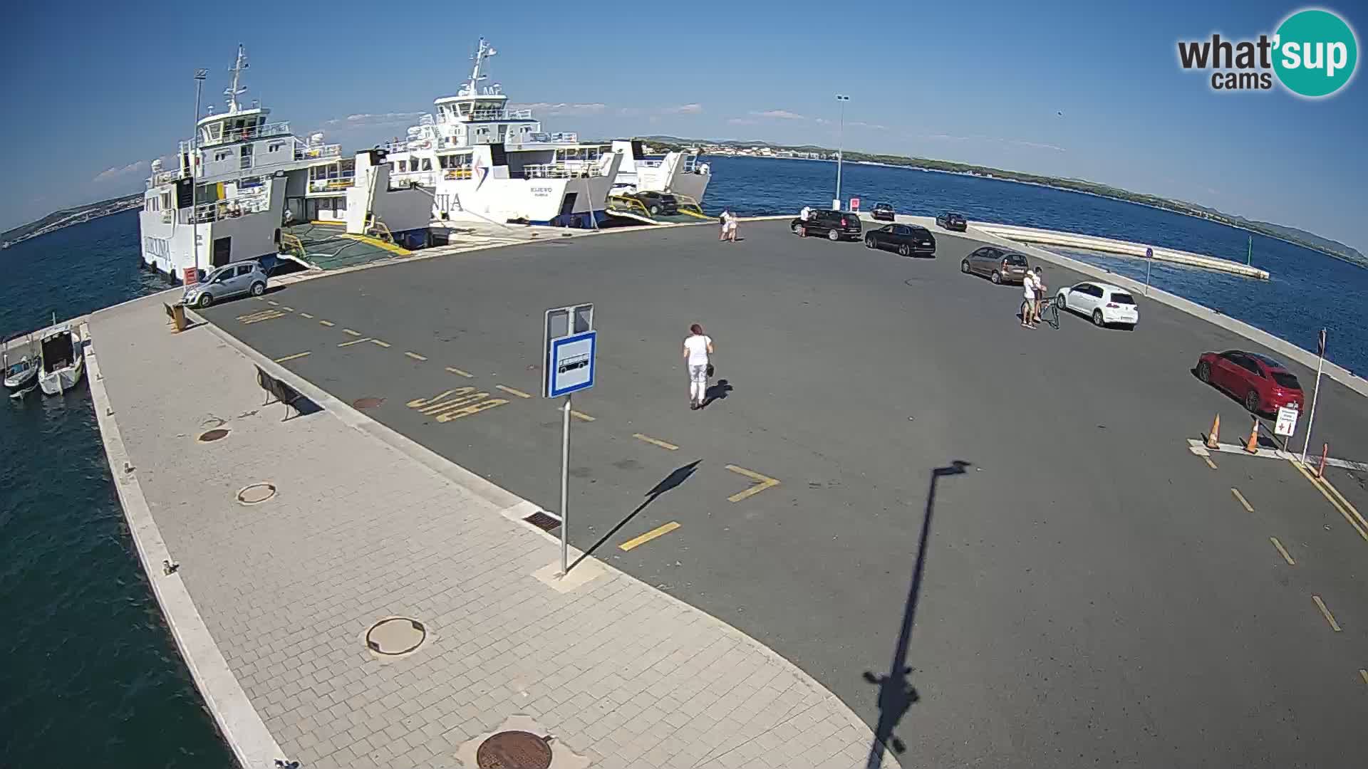 Tkon camera en vivo – Transportar – Dalmacia – Croacia