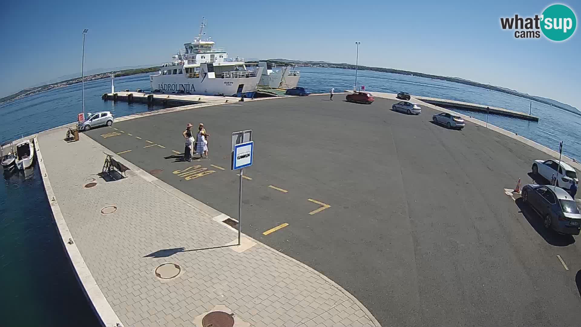 Tkon u živo – trajekt – Dalmacija
