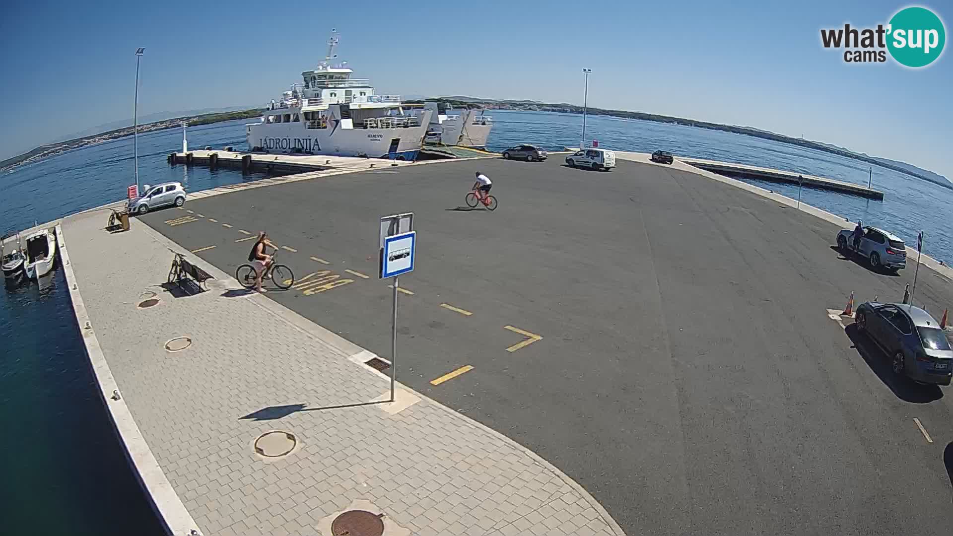 Tkon camera en vivo – Transportar – Dalmacia – Croacia