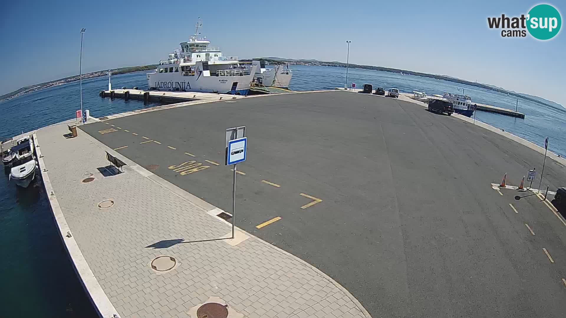 Tkon v živo – trajekt – Dalmacija – Hrvaška