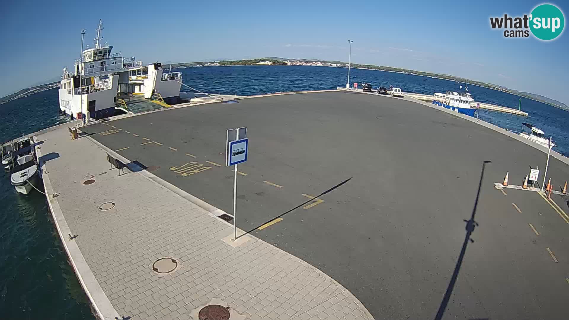 Tkon camera en vivo – Transportar – Dalmacia – Croacia