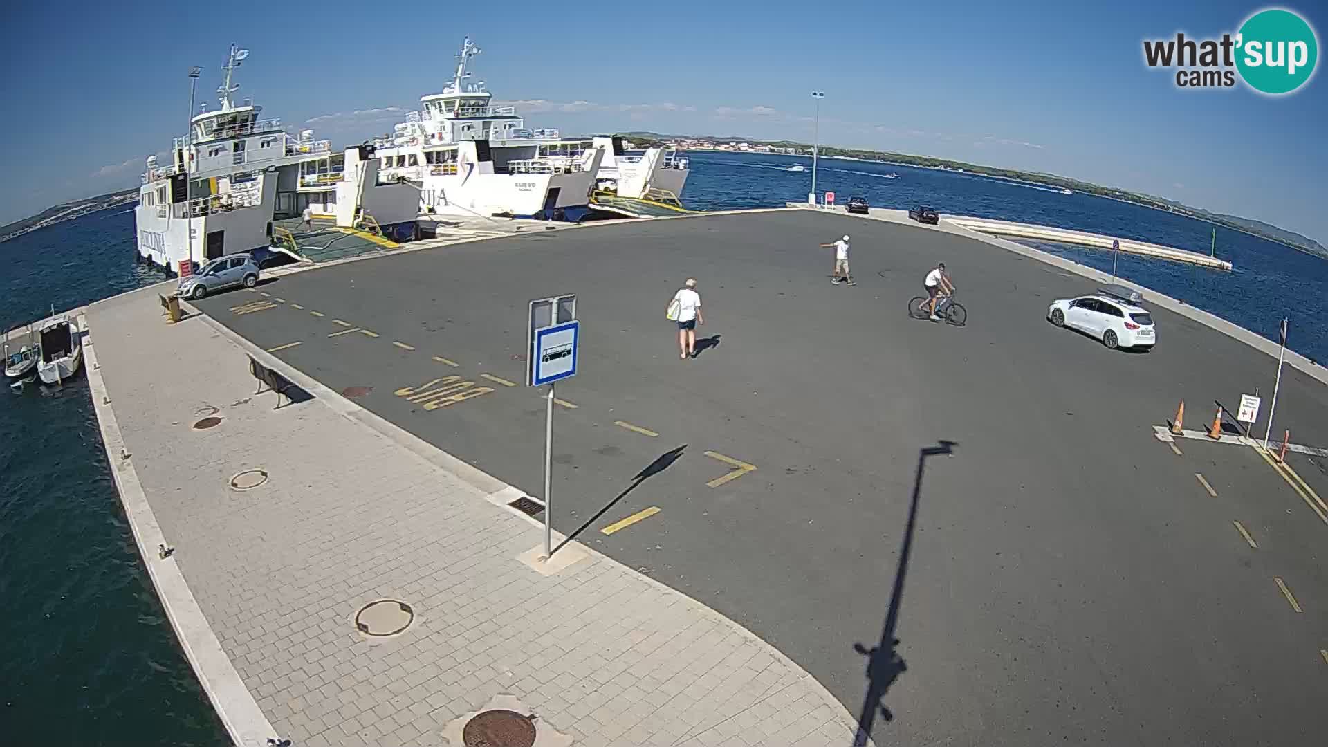 Tkon v živo – trajekt – Dalmacija – Hrvaška