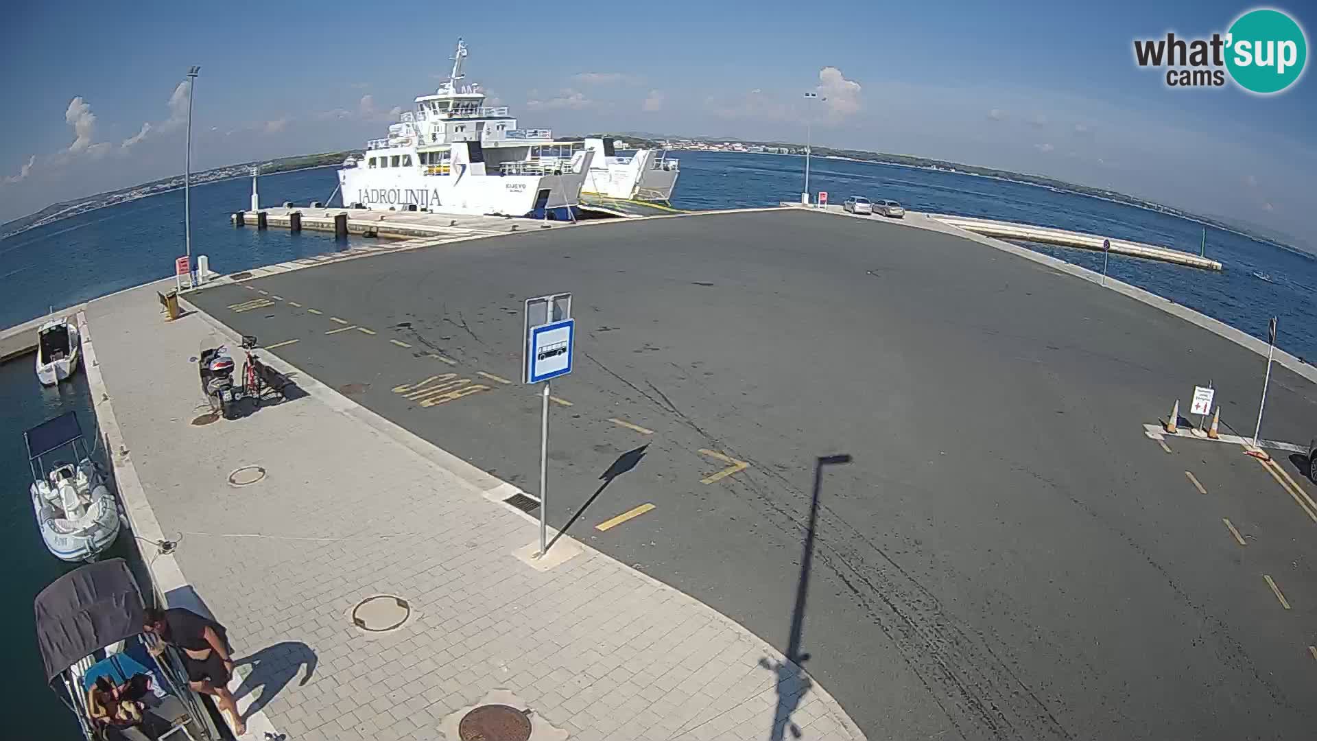 Tkon v živo – trajekt – Dalmacija – Hrvaška