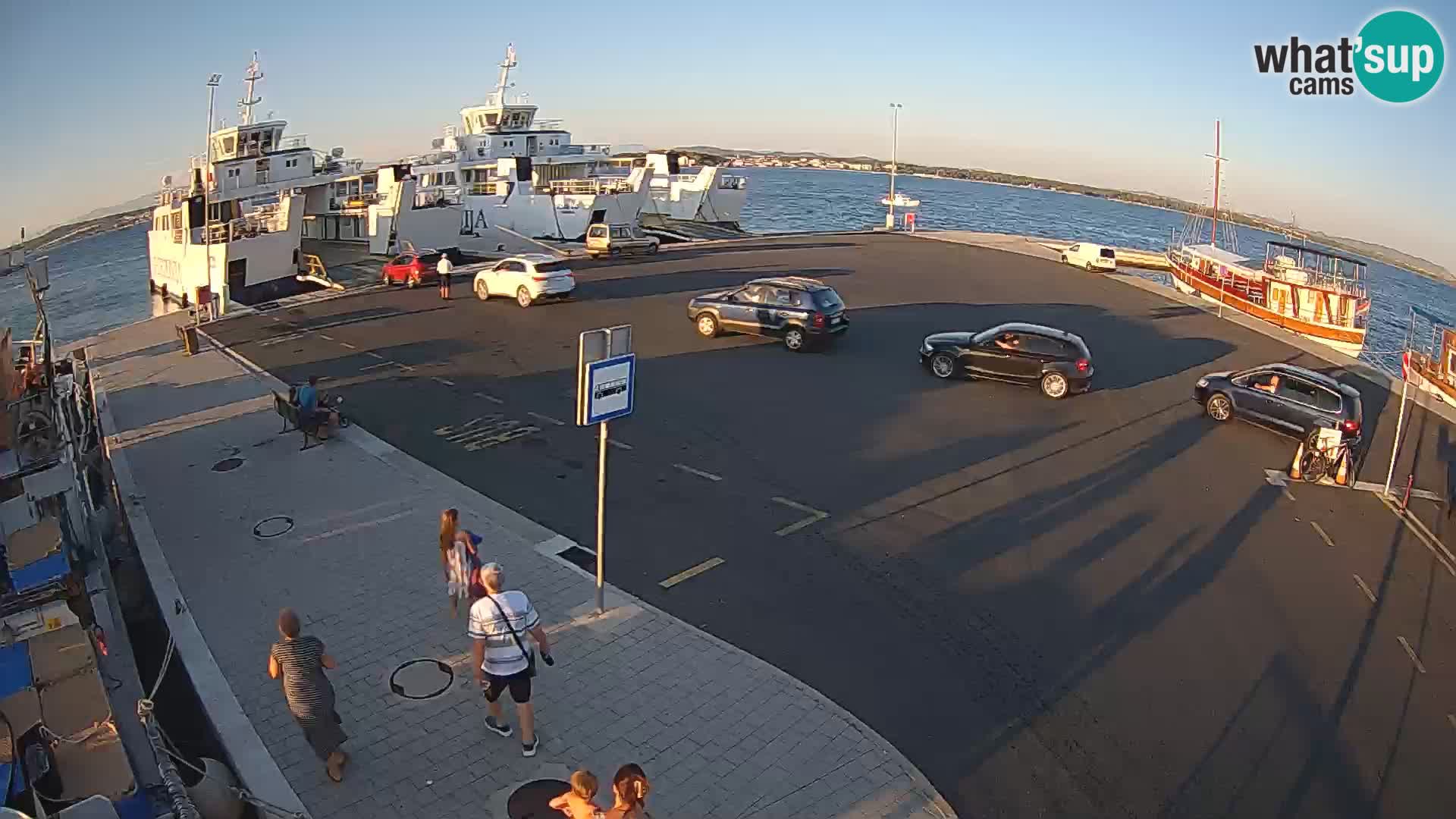 Tkon v živo – trajekt – Dalmacija – Hrvaška