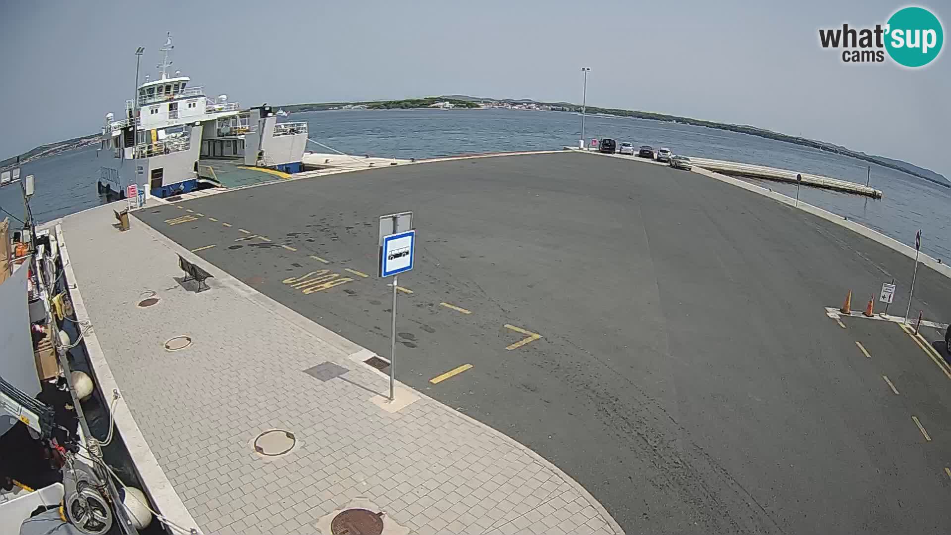 Tkon v živo – trajekt – Dalmacija – Hrvaška