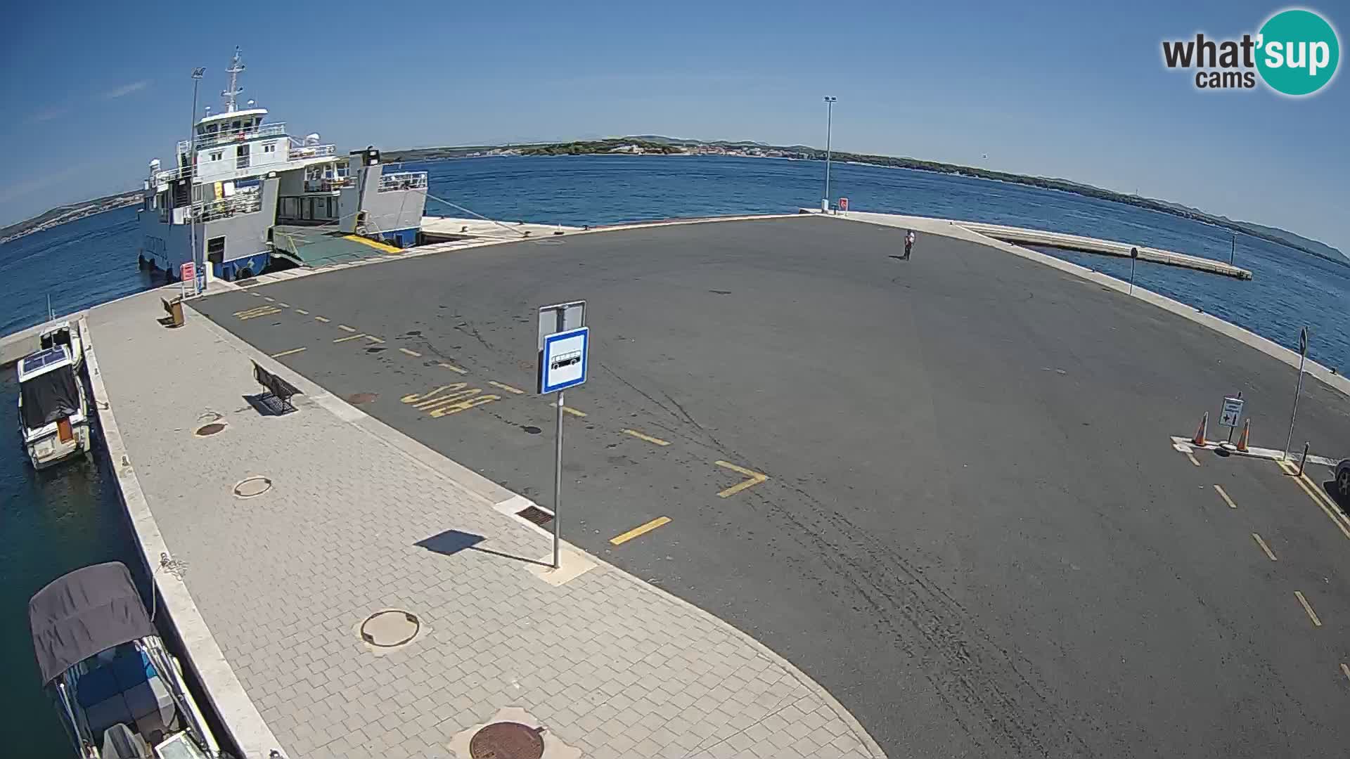 Tkon u živo – trajekt – Dalmacija