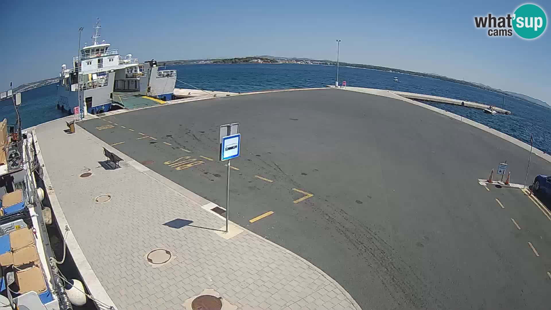 Tkon v živo – trajekt – Dalmacija – Hrvaška