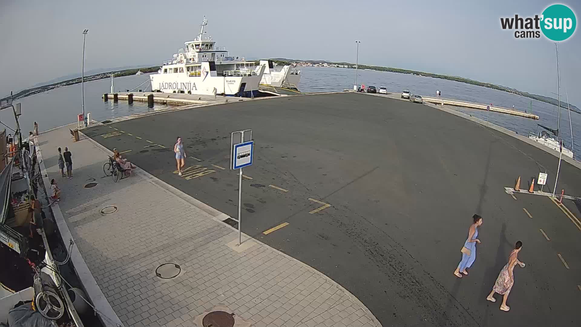 Tkon u živo – trajekt – Dalmacija