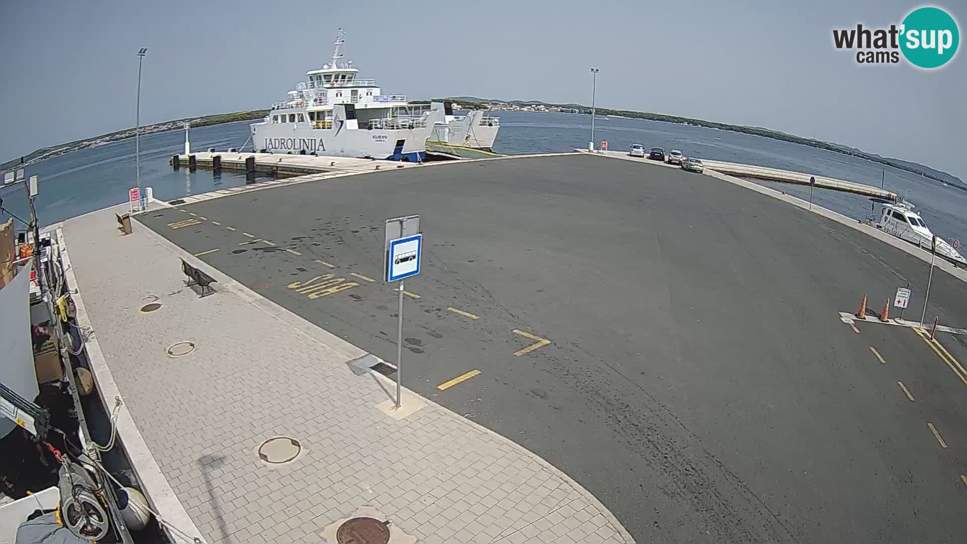 Tkon u živo – trajekt – Dalmacija