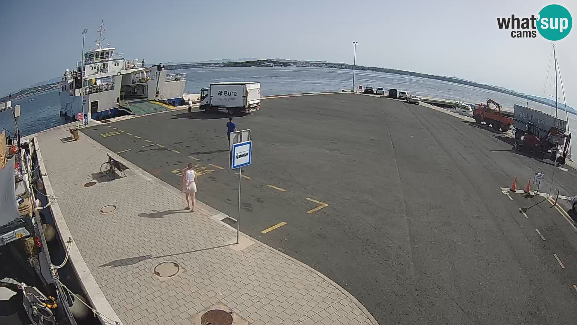 Tkon v živo – trajekt – Dalmacija – Hrvaška