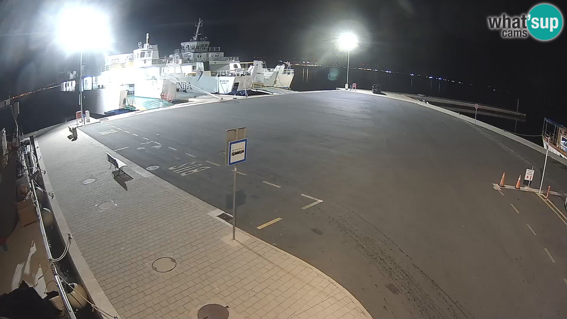 Tkon v živo – trajekt – Dalmacija – Hrvaška