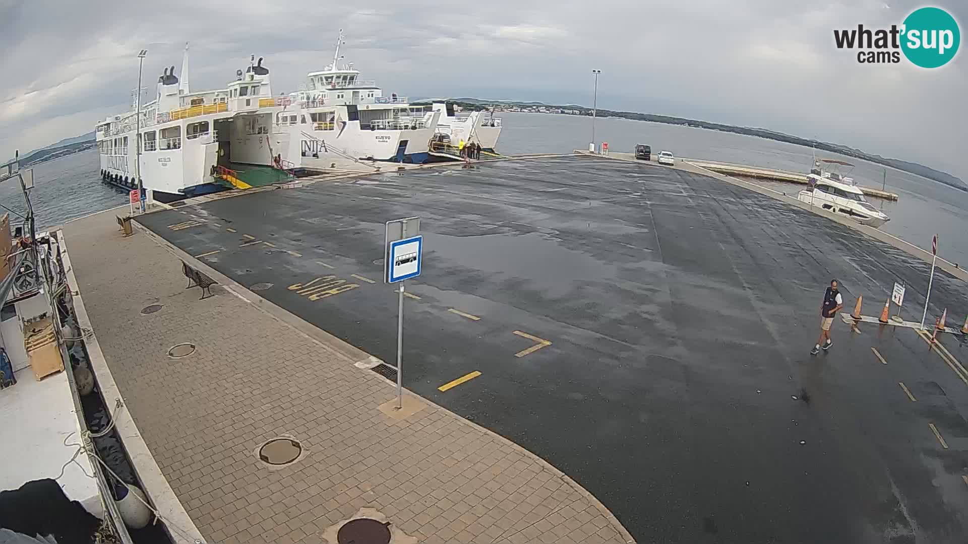Tkon camera en vivo – Transportar – Dalmacia – Croacia
