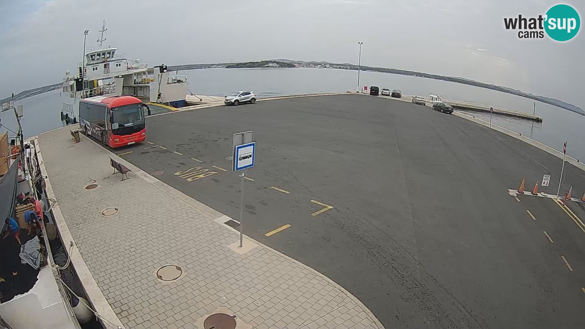 Tkon Live cam – traghetto – Dalmazia – Croazia