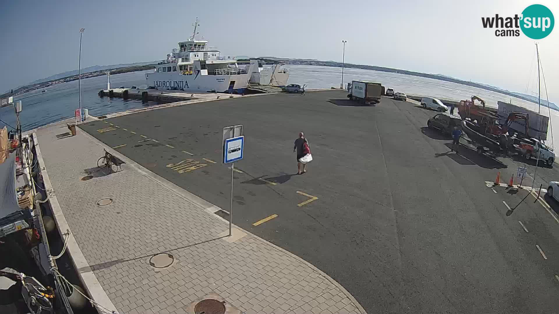 Tkon camera en vivo – Transportar – Dalmacia – Croacia