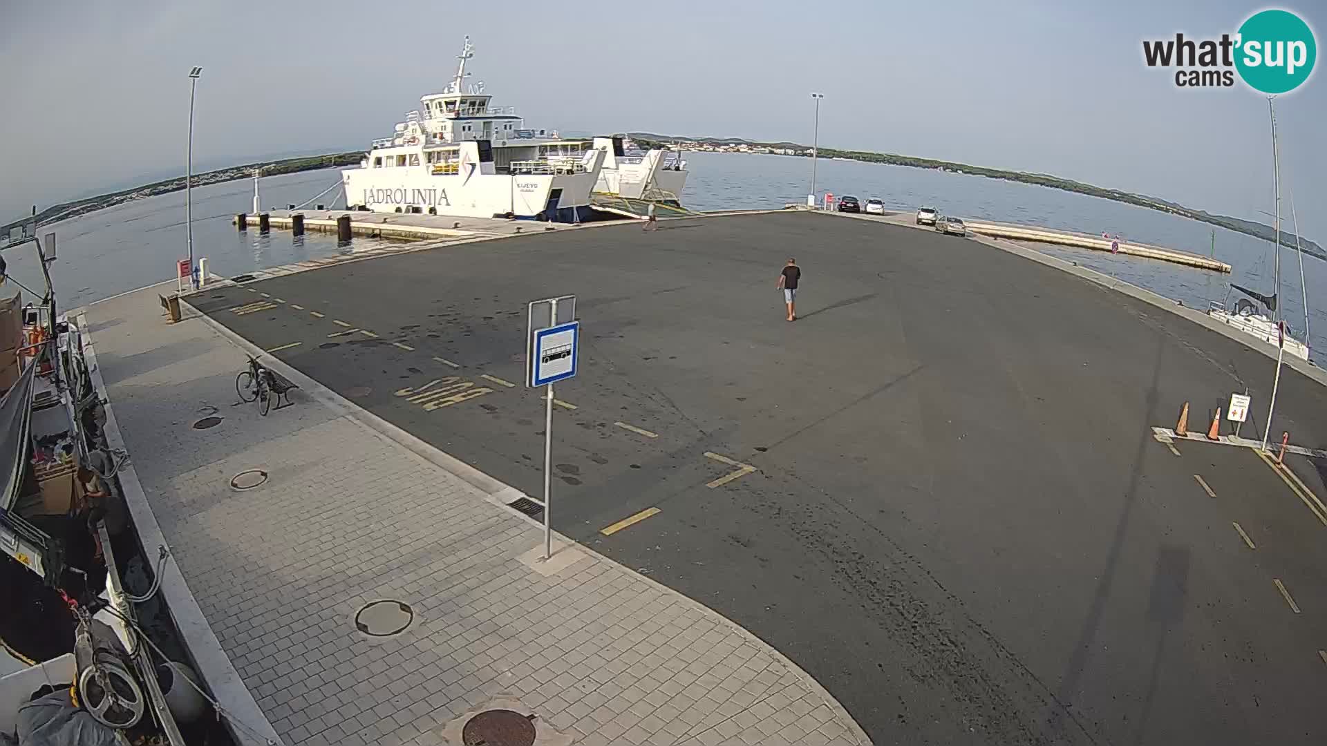 Tkon u živo – trajekt – Dalmacija