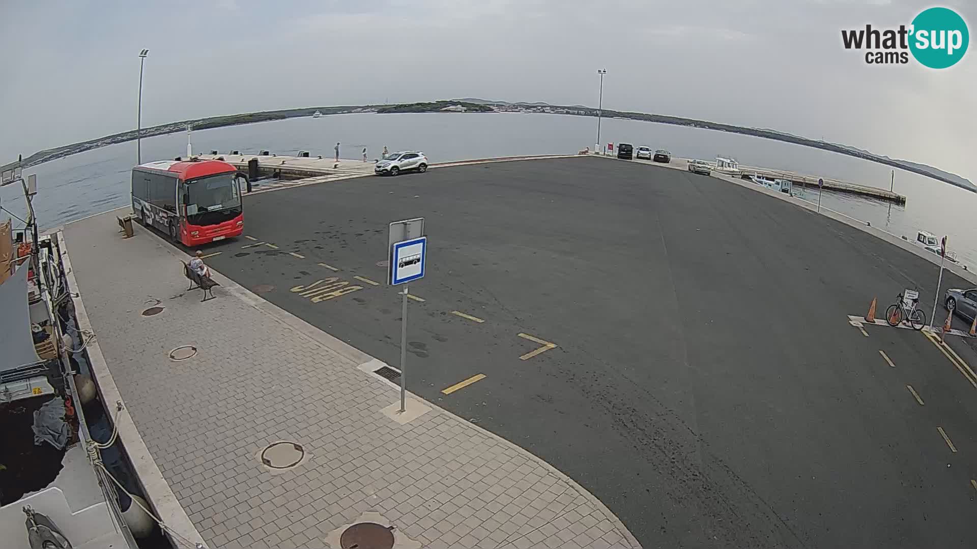 Tkon u živo – trajekt – Dalmacija