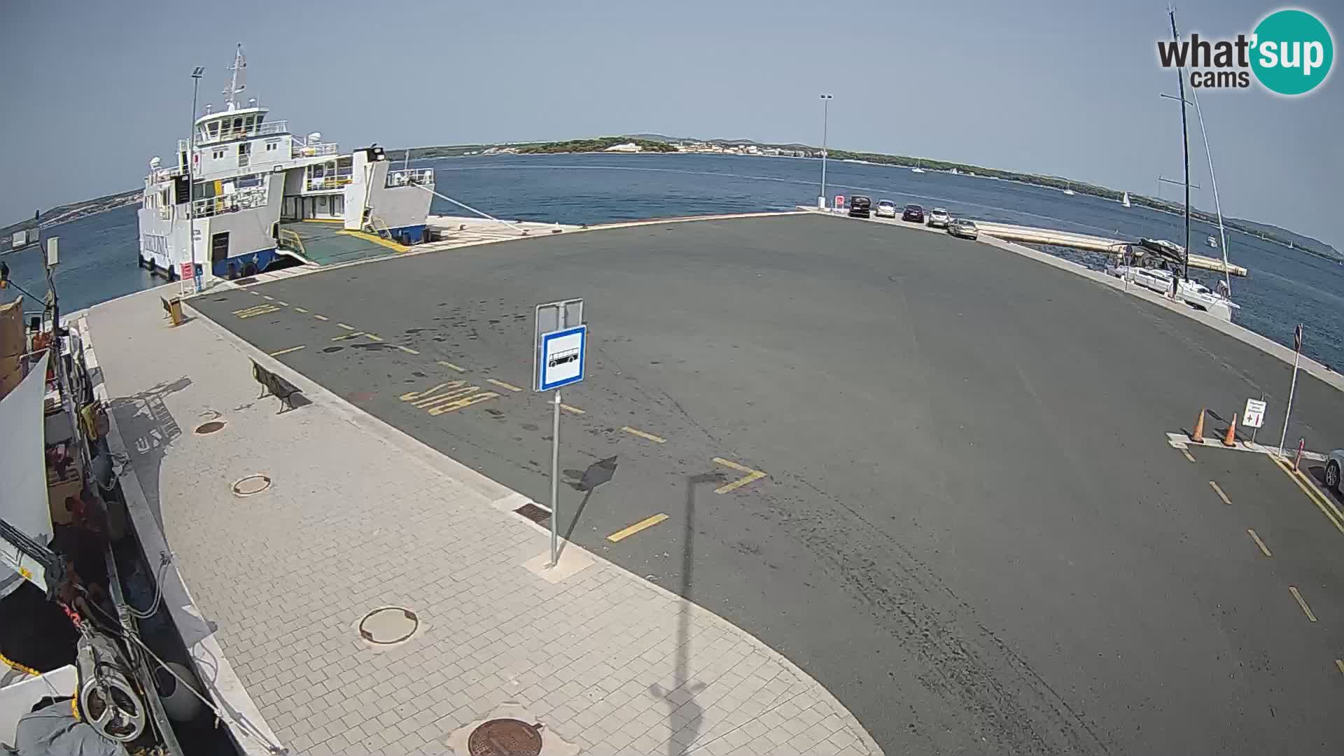 Tkon v živo – trajekt – Dalmacija – Hrvaška