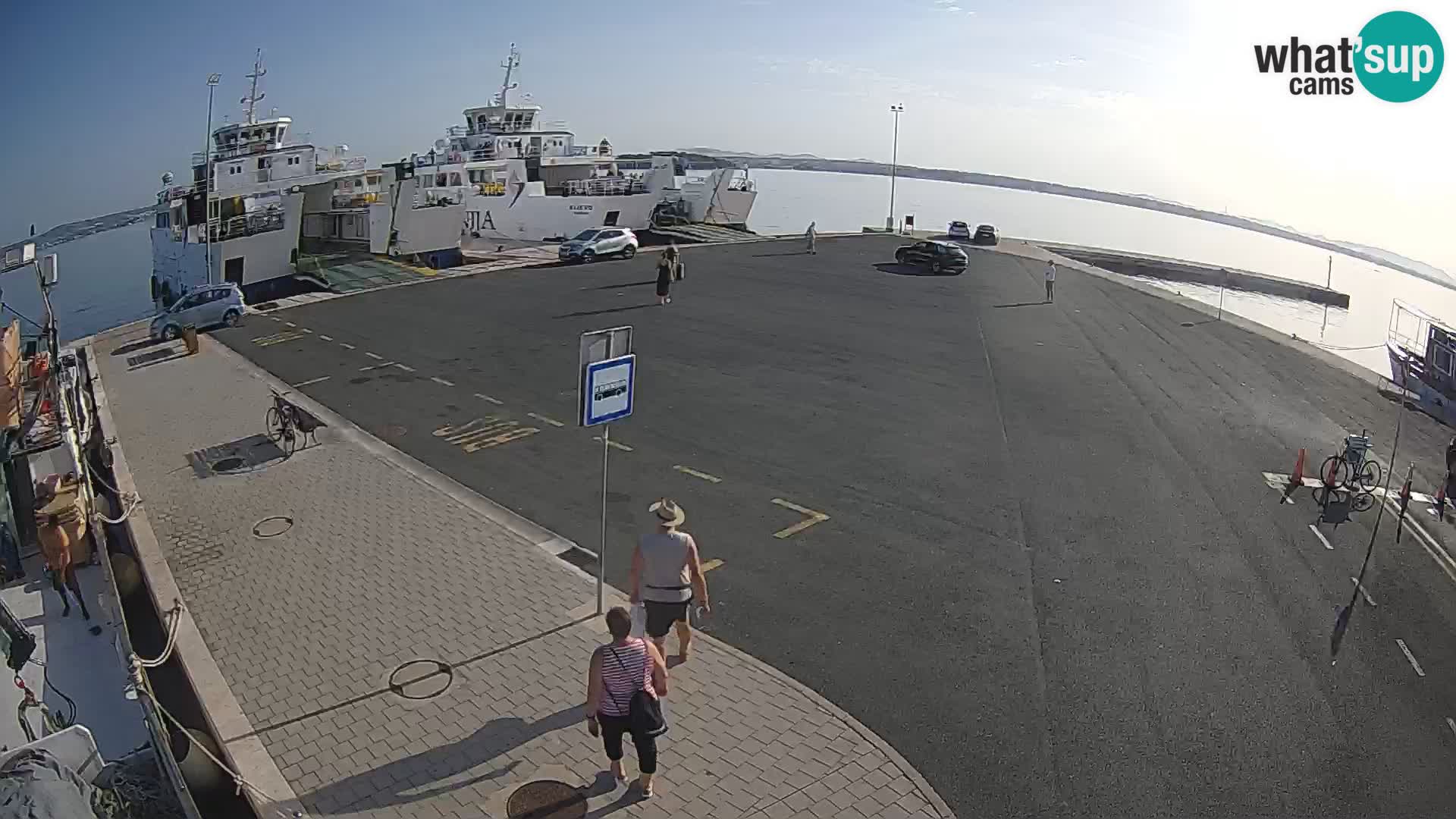 Tkon camera en vivo – Transportar – Dalmacia – Croacia