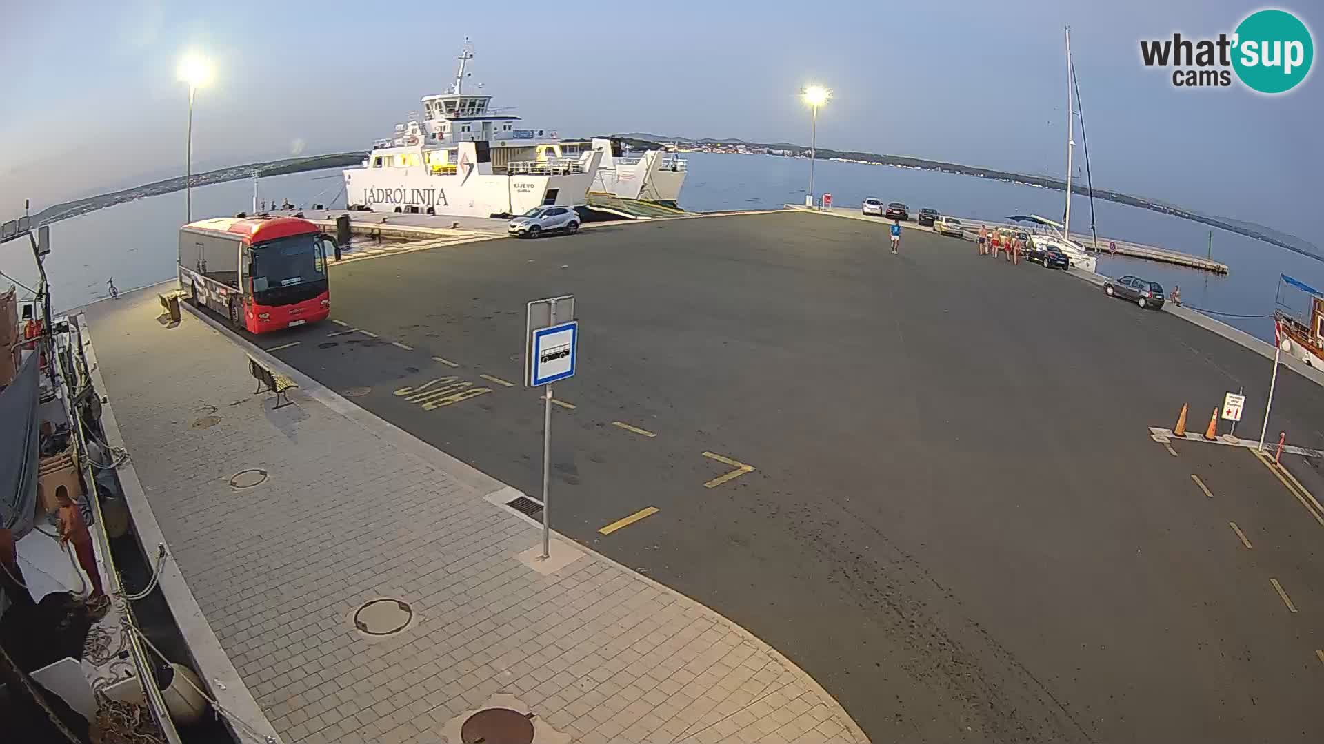 Tkon u živo – trajekt – Dalmacija