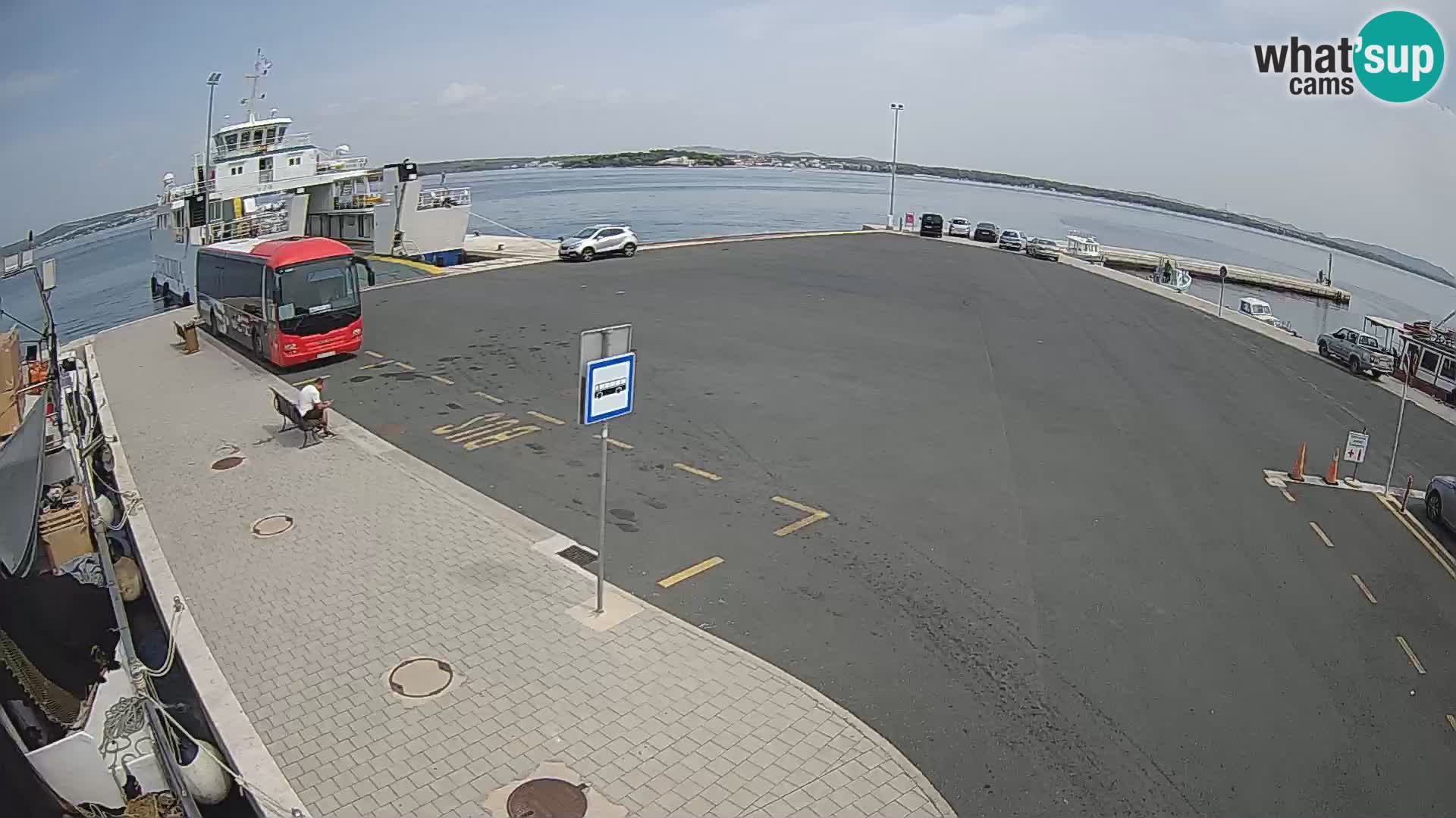 Tkon camera en vivo – Transportar – Dalmacia – Croacia