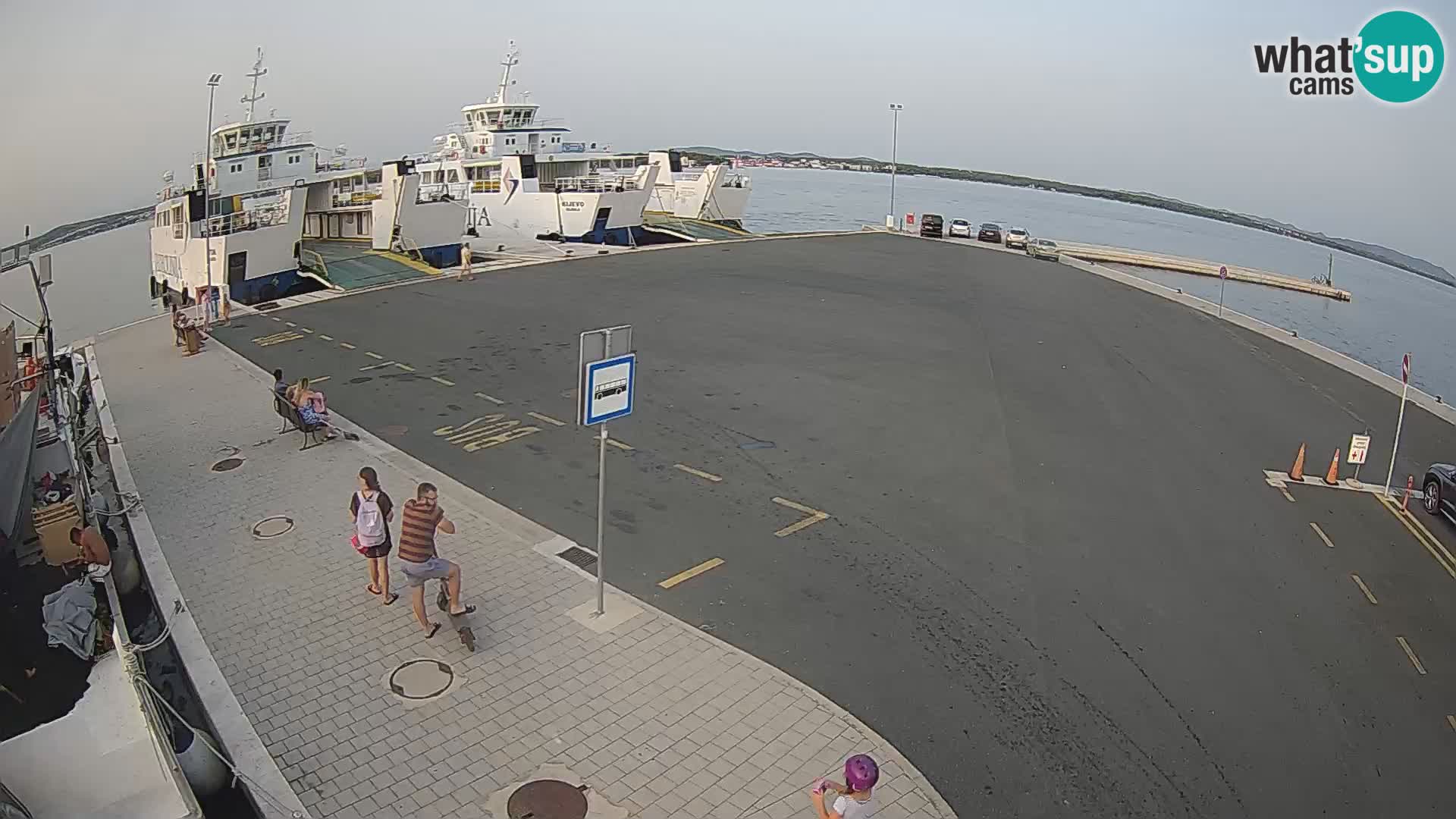 Tkon v živo – trajekt – Dalmacija – Hrvaška