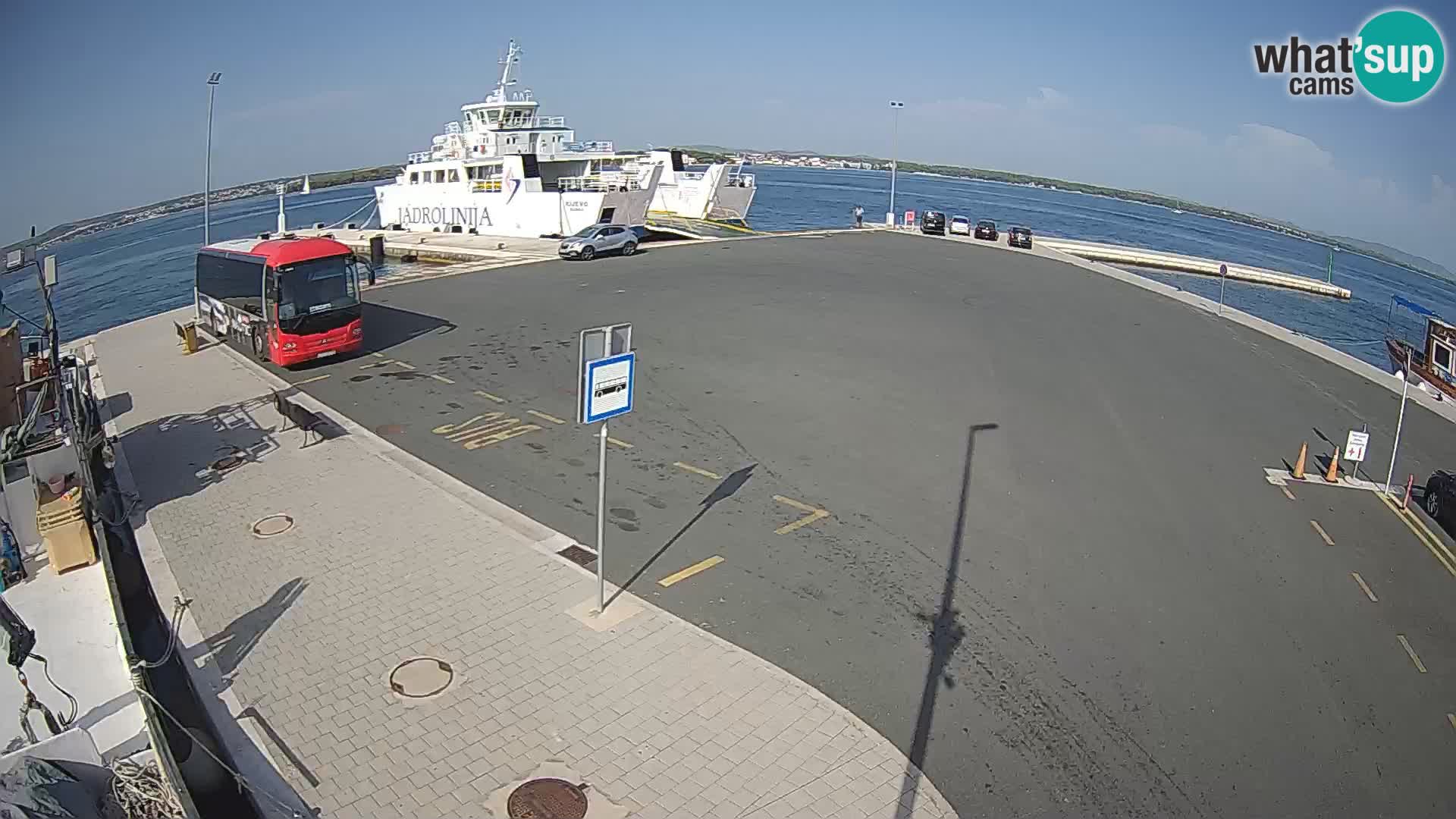 Tkon v živo – trajekt – Dalmacija – Hrvaška