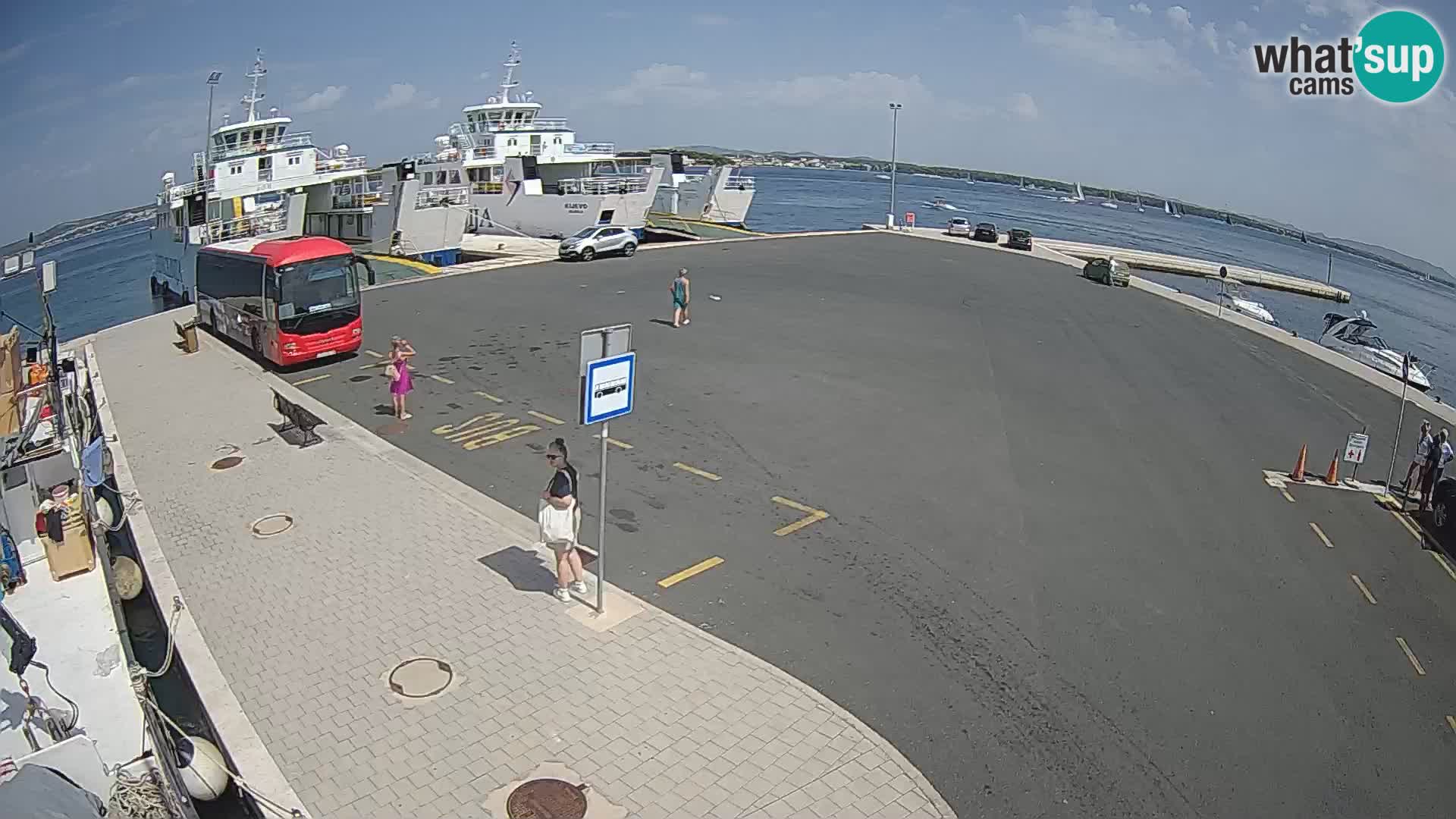 Tkon Live cam – traghetto – Dalmazia – Croazia