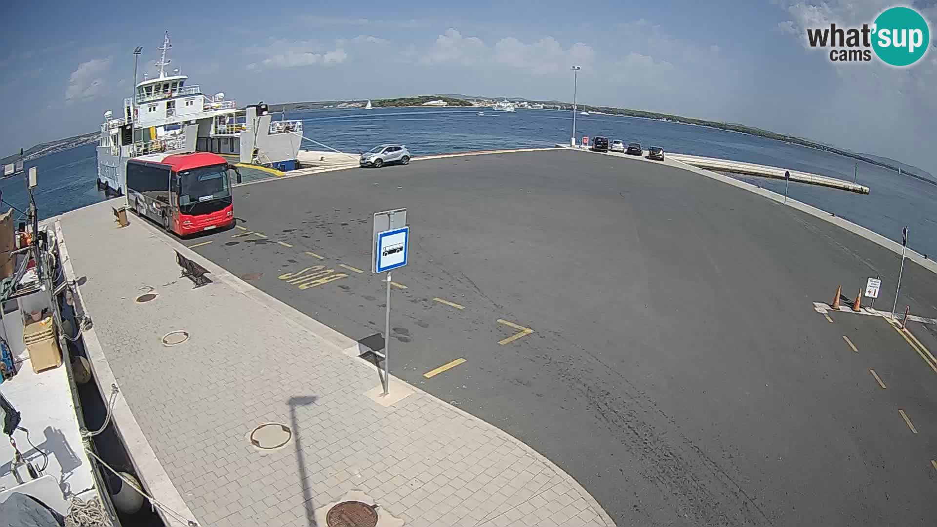 Tkon camera en vivo – Transportar – Dalmacia – Croacia