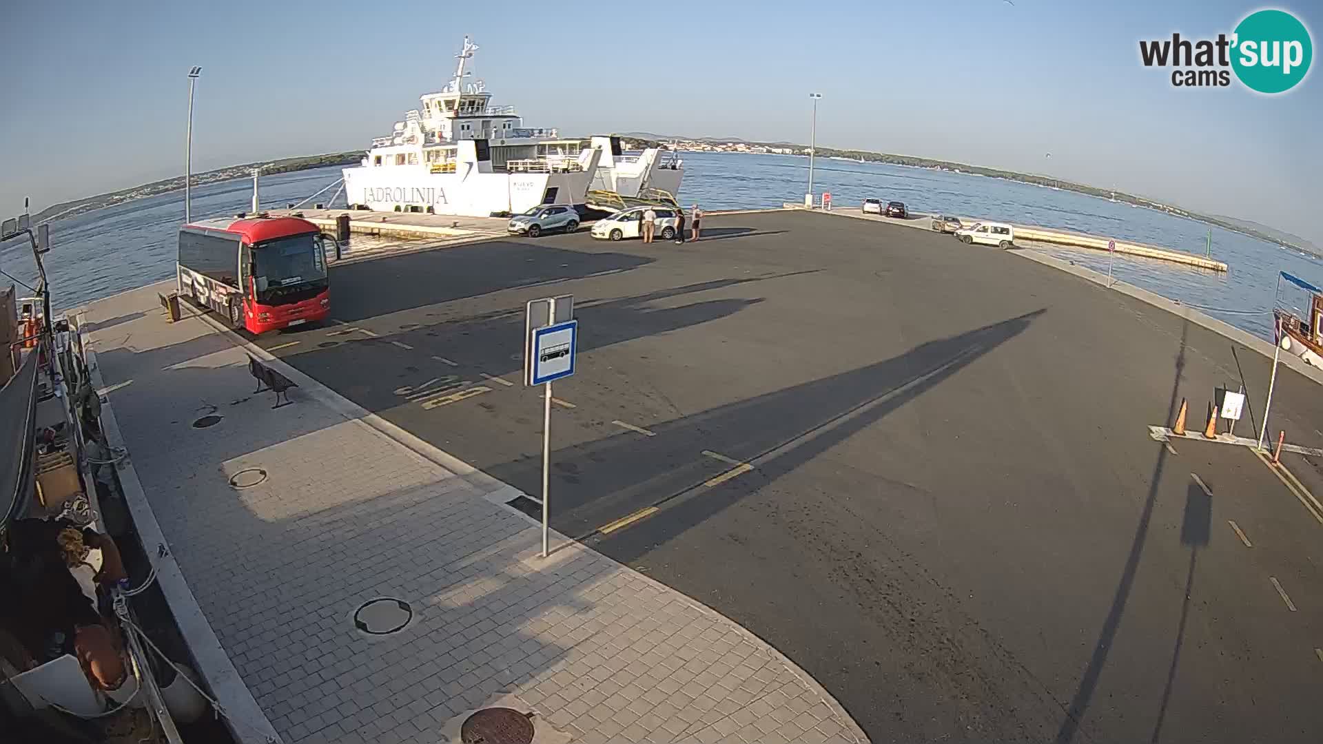 Tkon v živo – trajekt – Dalmacija – Hrvaška