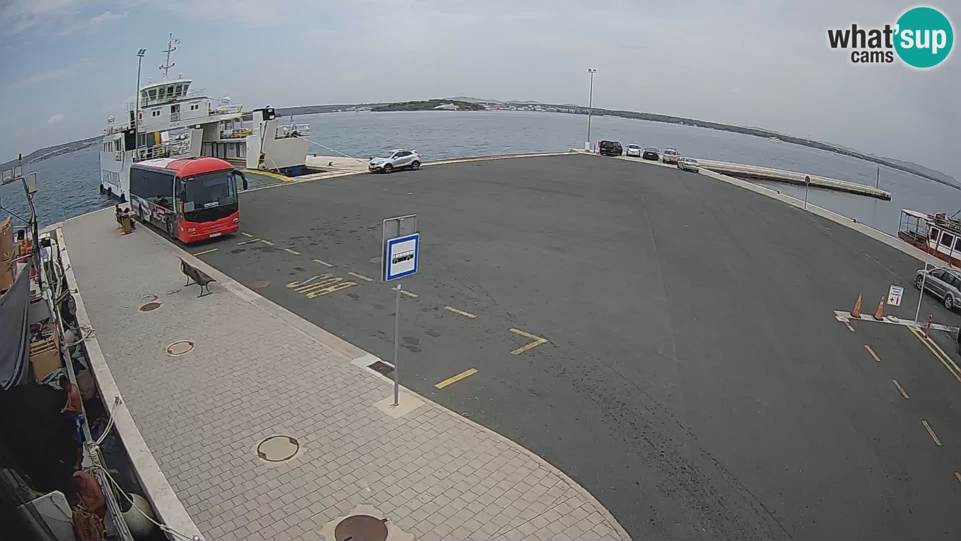 Tkon u živo – trajekt – Dalmacija