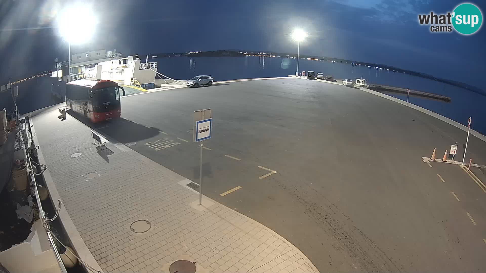 Tkon v živo – trajekt – Dalmacija – Hrvaška
