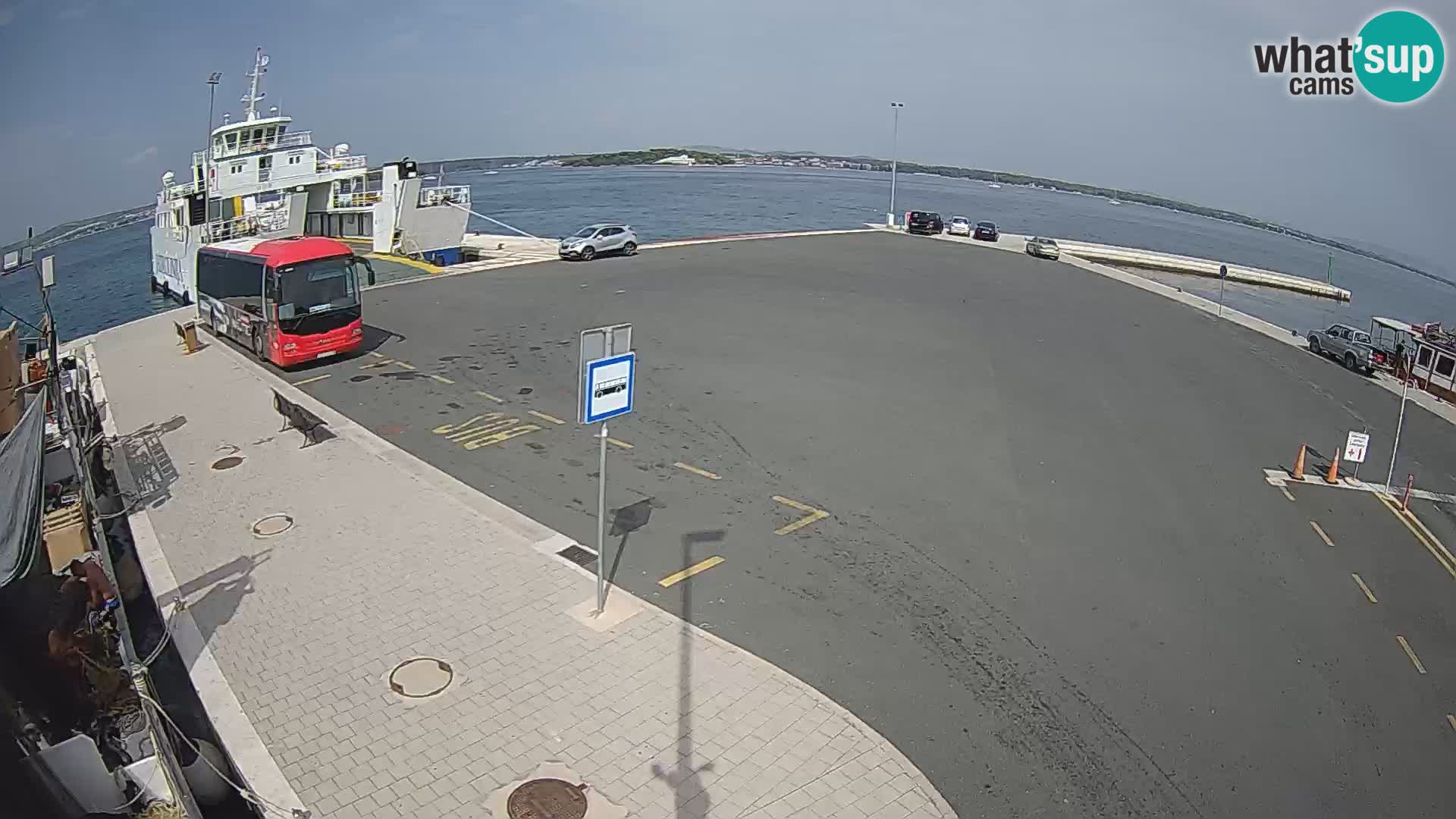 Tkon u živo – trajekt – Dalmacija