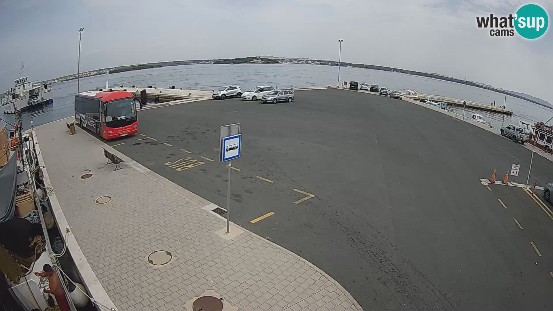 Tkon u živo – trajekt – Dalmacija