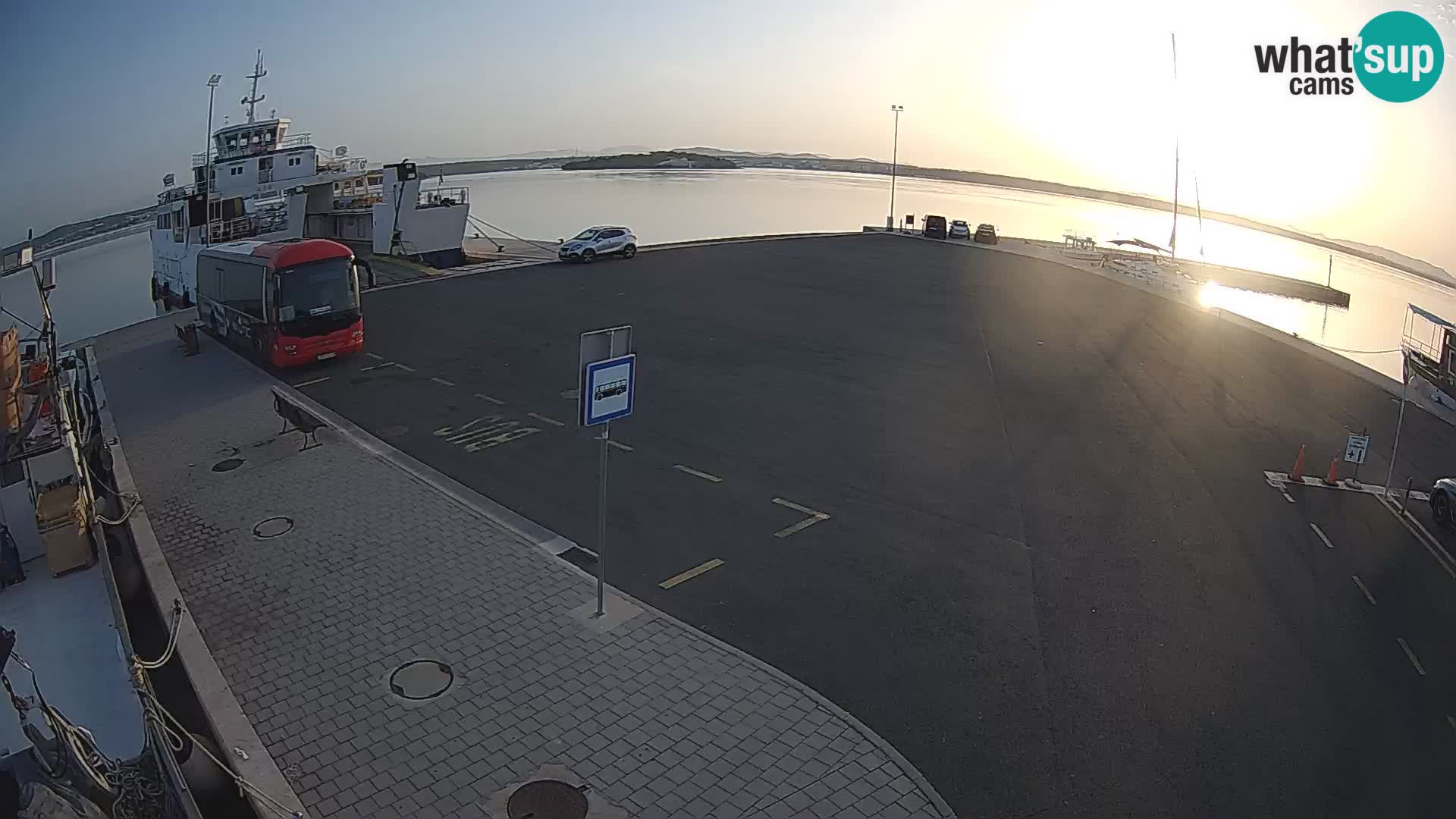 Tkon u živo – trajekt – Dalmacija