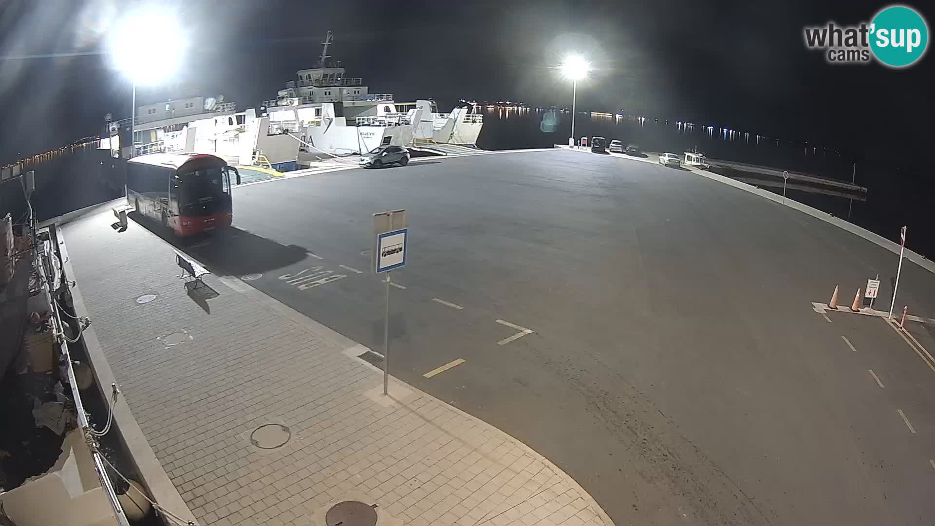 Tkon v živo – trajekt – Dalmacija – Hrvaška