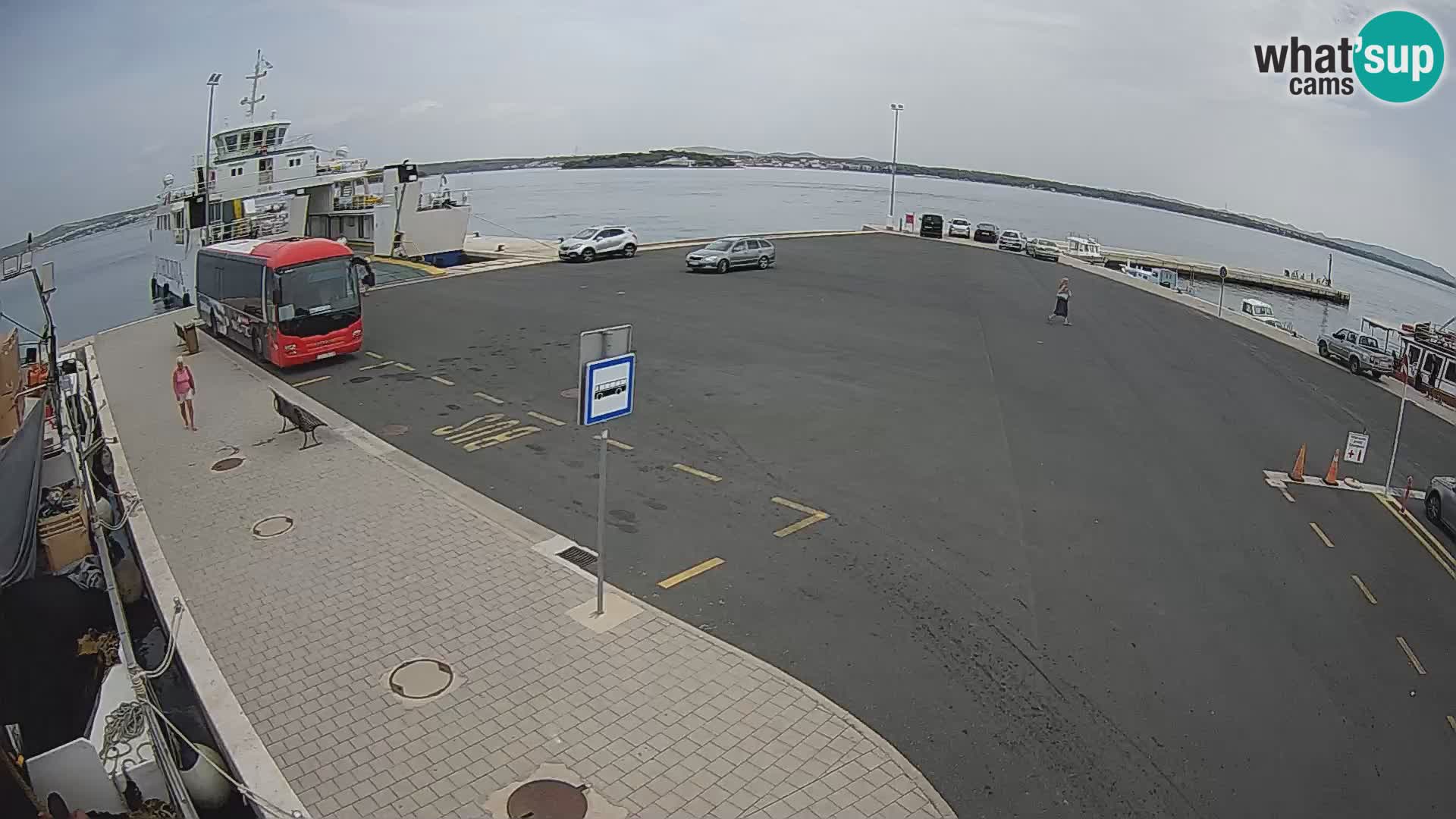 Tkon u živo – trajekt – Dalmacija