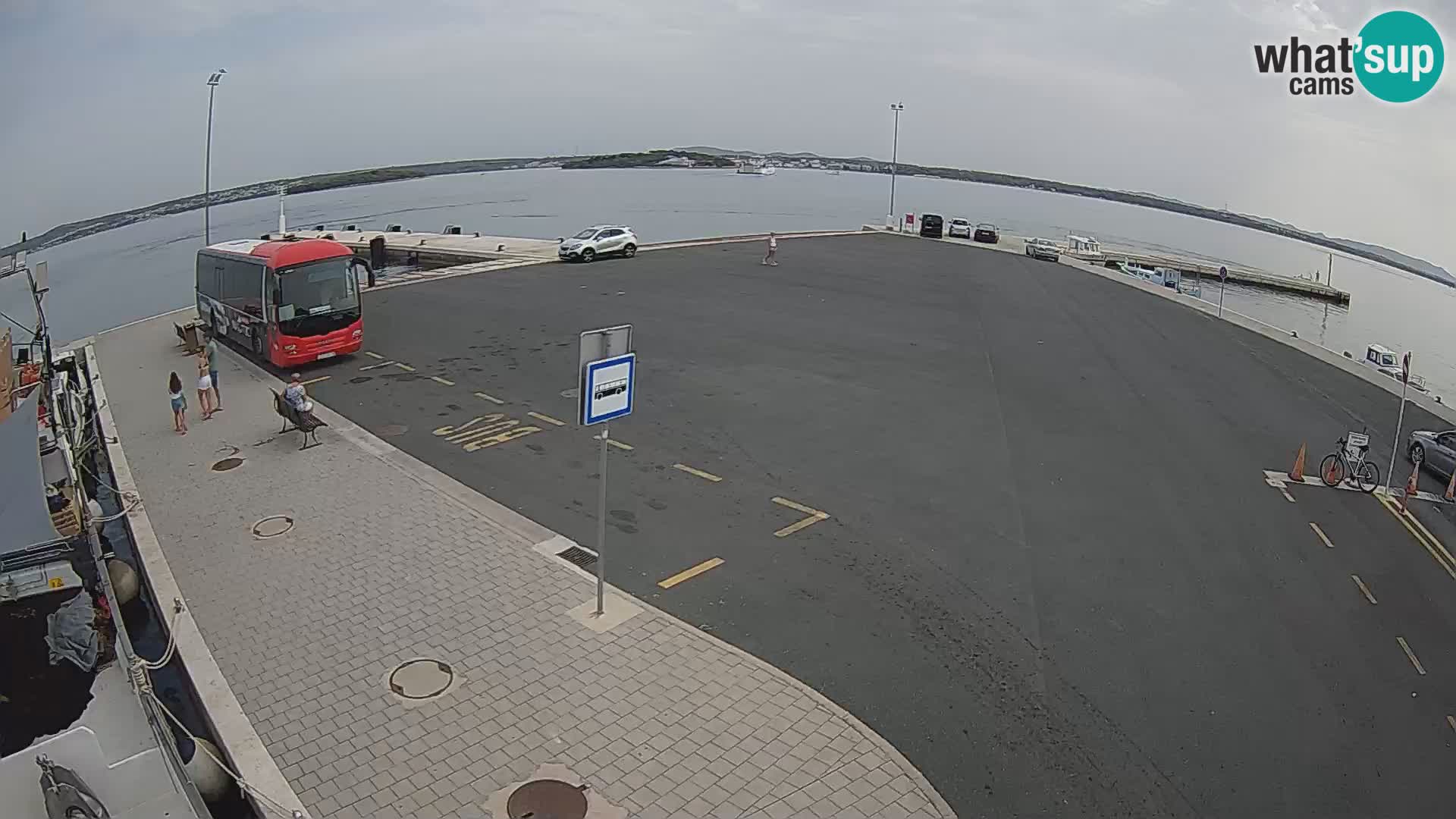 Tkon v živo – trajekt – Dalmacija – Hrvaška