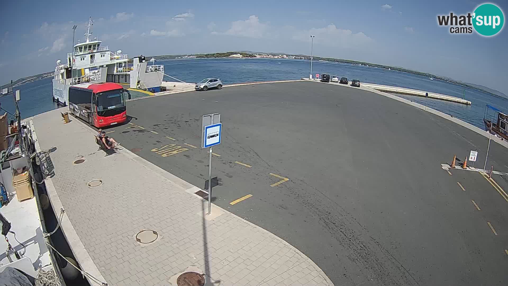 Tkon u živo – trajekt – Dalmacija