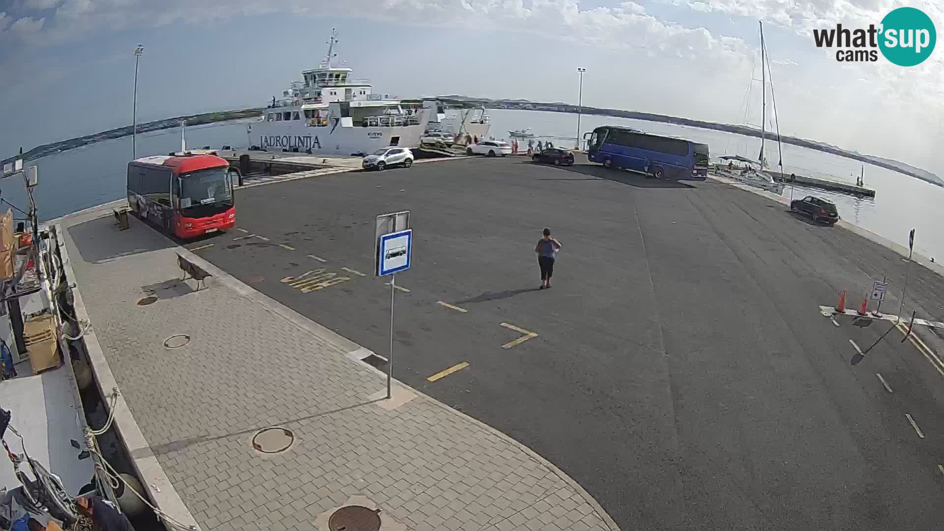 Tkon camera en vivo – Transportar – Dalmacia – Croacia