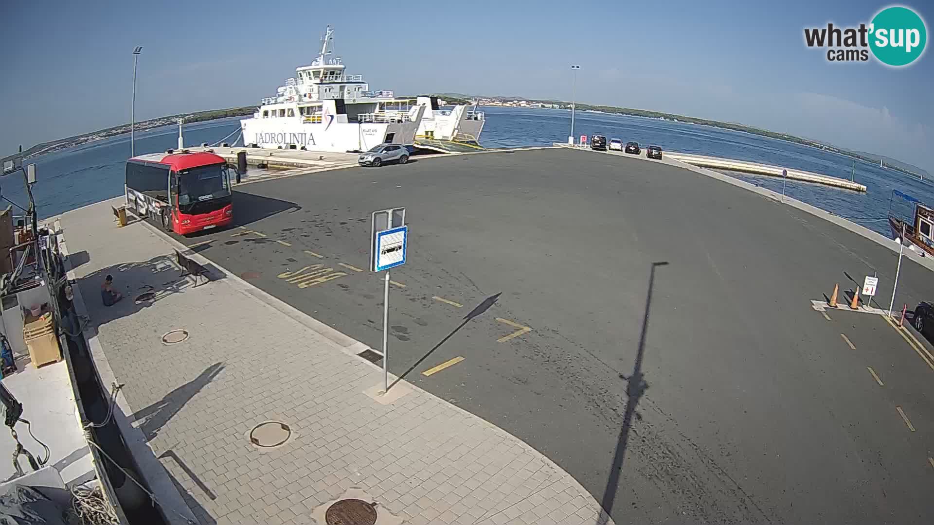 Tkon u živo – trajekt – Dalmacija