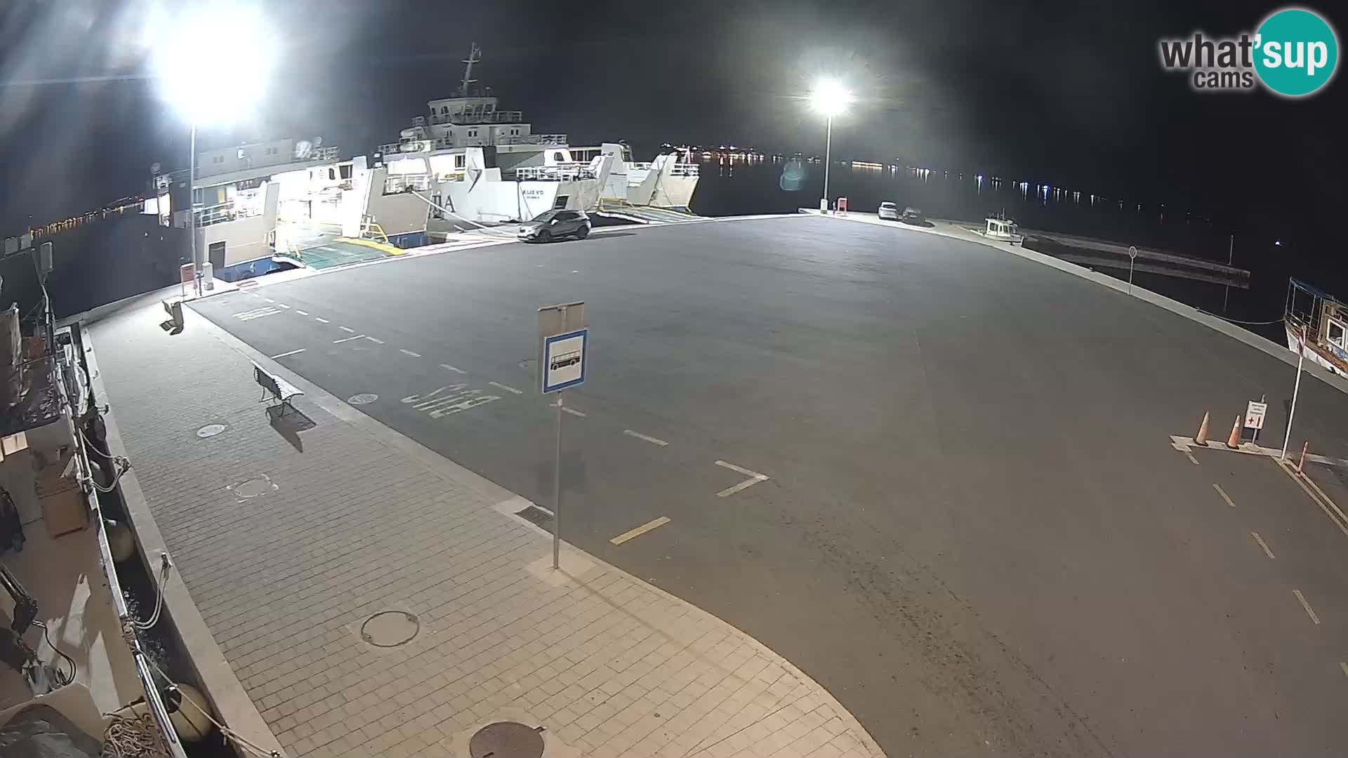 Tkon v živo – trajekt – Dalmacija – Hrvaška