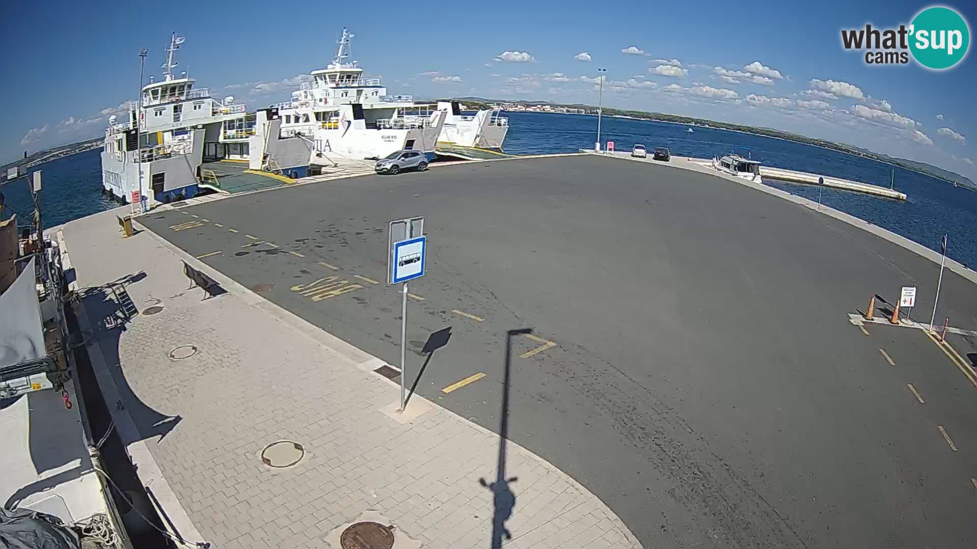 Tkon camera en vivo – Transportar – Dalmacia – Croacia