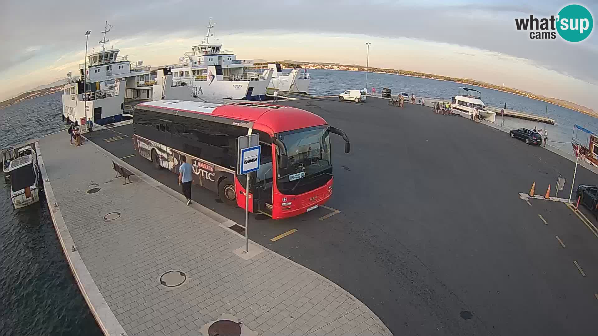 Tkon u živo – trajekt – Dalmacija