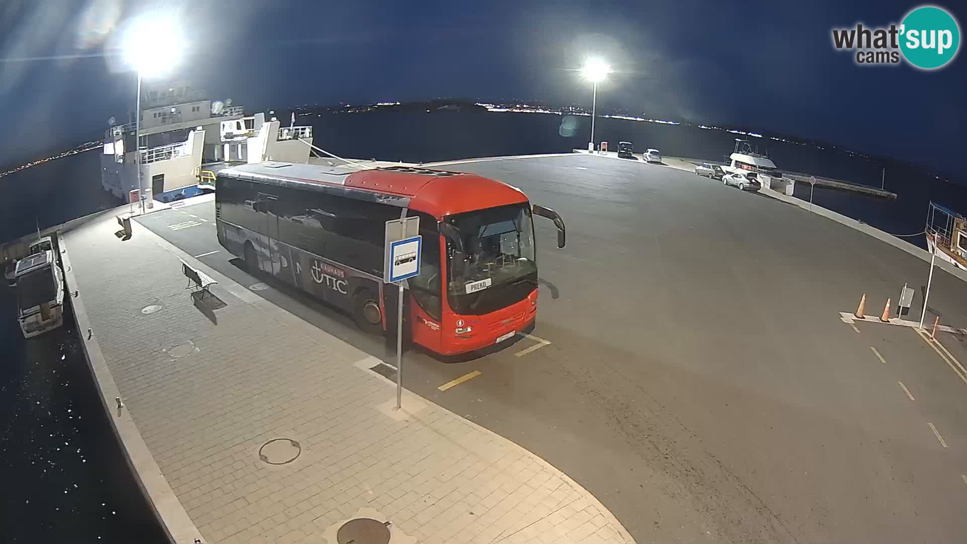 Tkon u živo – trajekt – Dalmacija